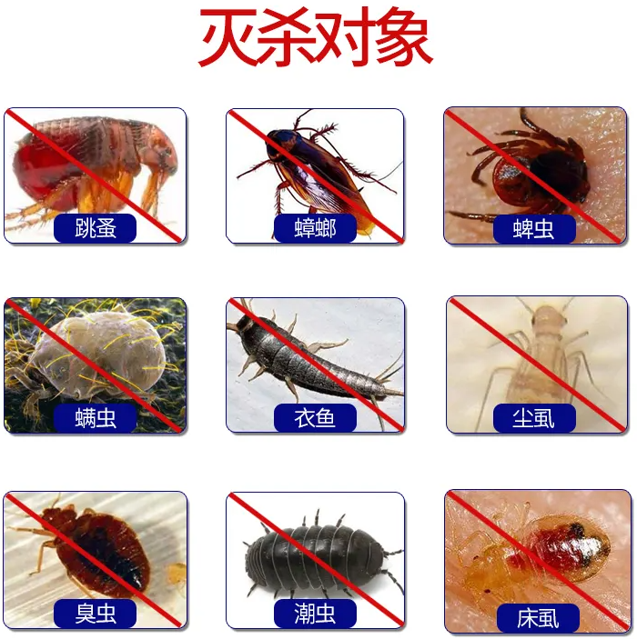 跳蚤、蟑螂、蜱蟲(chóng)、虱子、臭蟲(chóng)殺滅率檢測(cè)